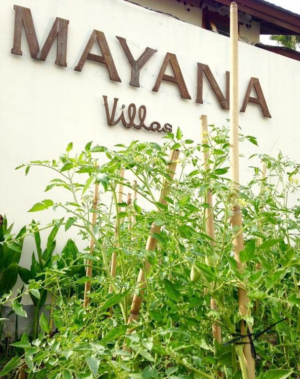 विला Mayana